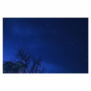 人妻少妇中文字幕乱码
